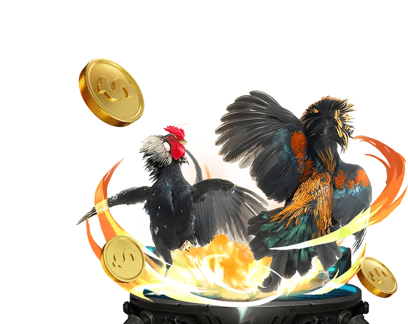 Cookie Bắt Buộc cho Kubet Ku Casino